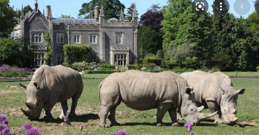 Large Stylish Luxury Cotswold Cottage - Ideal For Families, W/ Ev Charging 安多弗斯福德 外观 照片